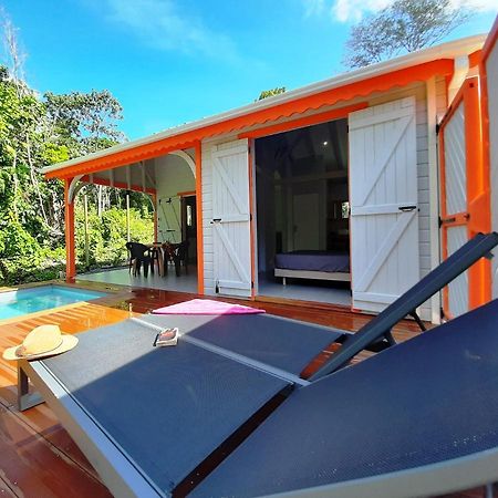 Caraibes Cottages Corail Piscine Privee A 900M De La Plage De Grande Anse Deshaies Ngoại thất bức ảnh