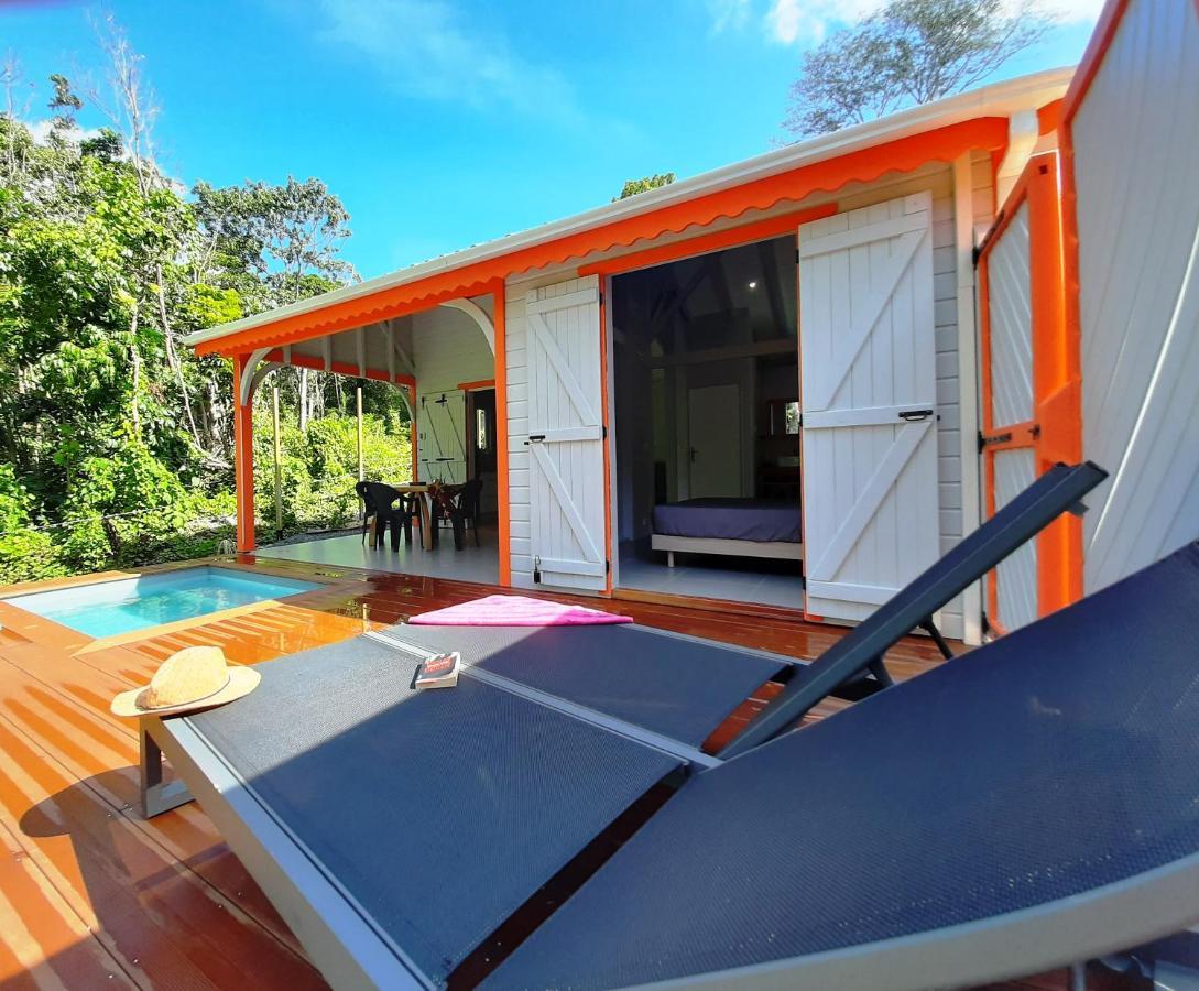 Caraibes Cottages Corail Piscine Privee A 900M De La Plage De Grande Anse Deshaies Ngoại thất bức ảnh