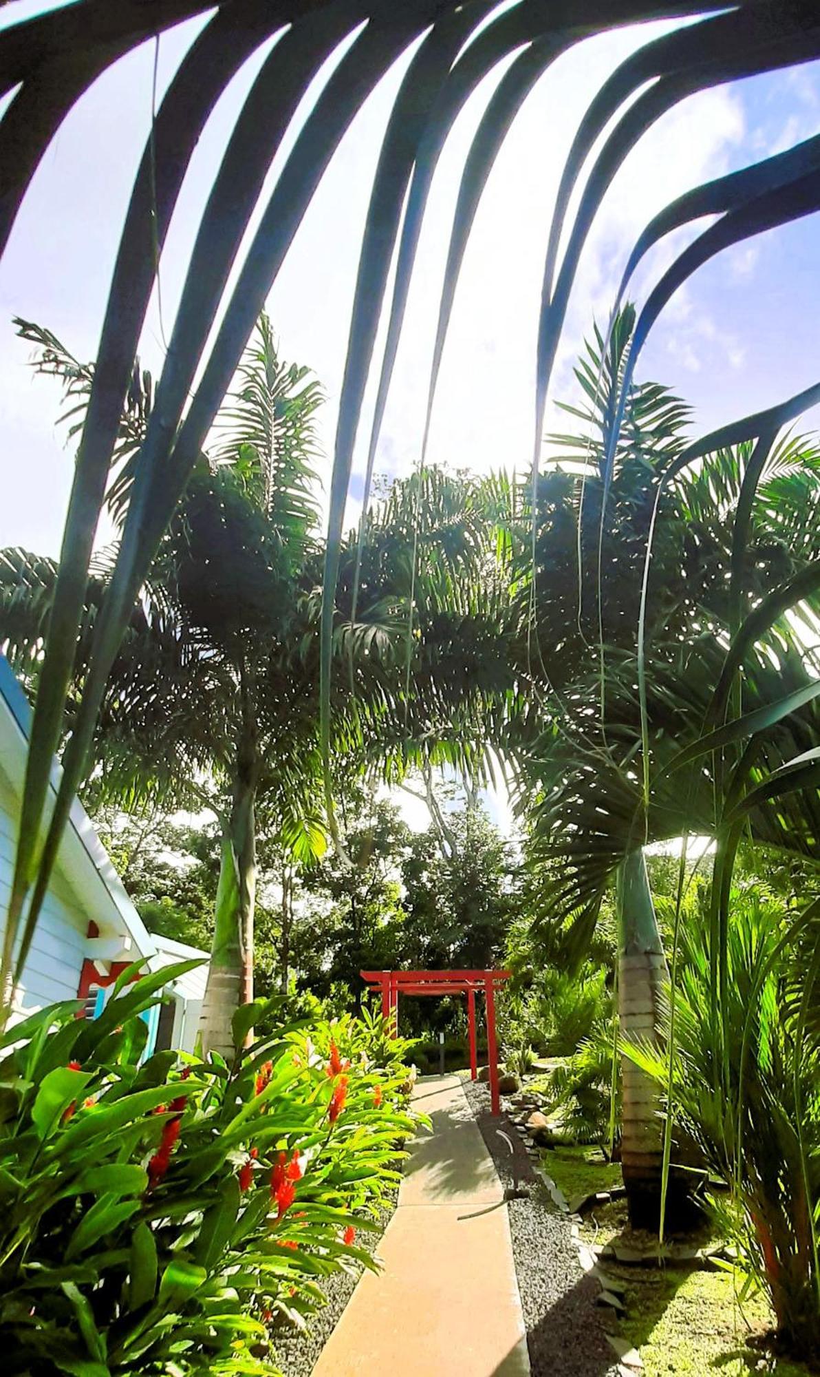 Caraibes Cottages Corail Piscine Privee A 900M De La Plage De Grande Anse Deshaies Ngoại thất bức ảnh