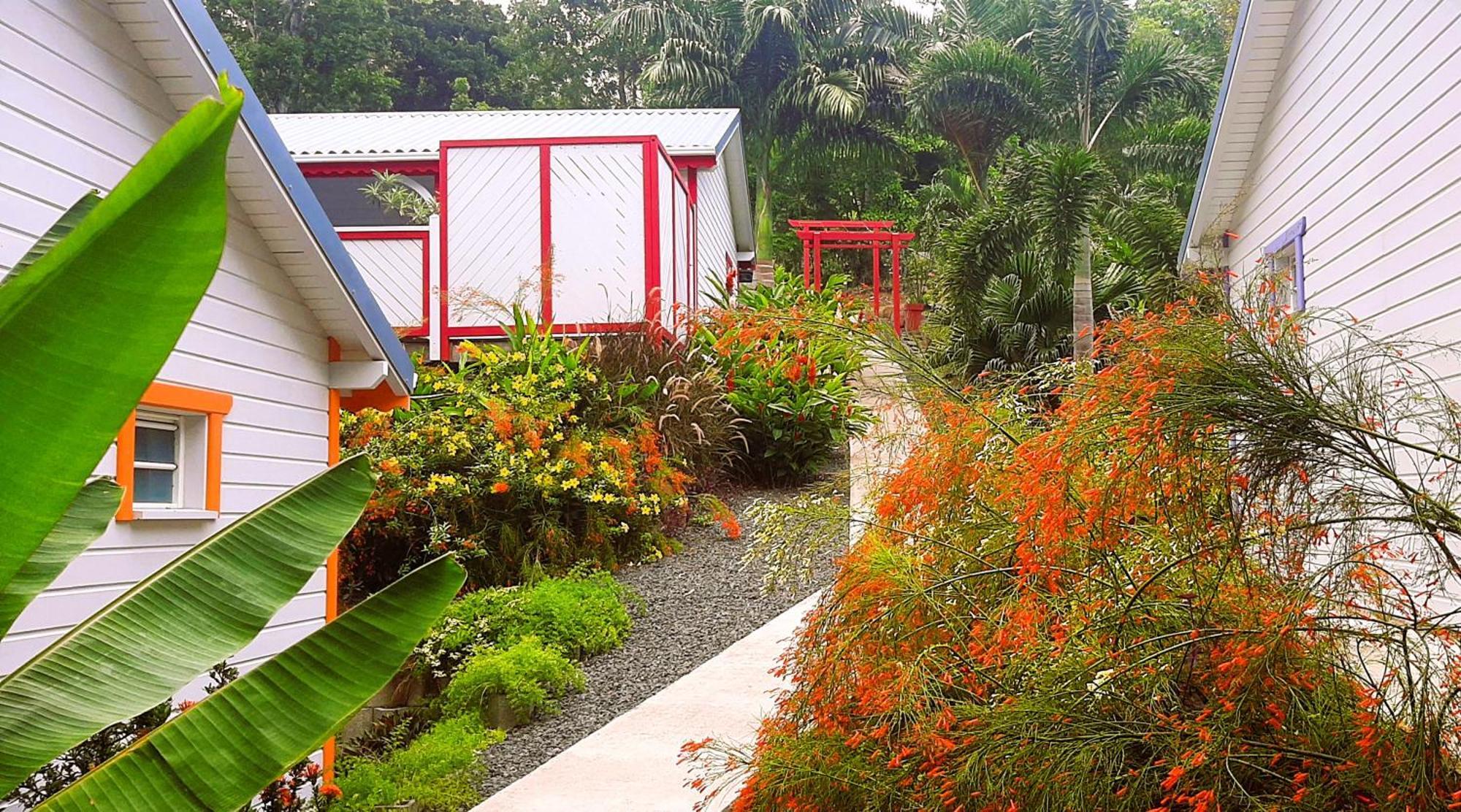 Caraibes Cottages Corail Piscine Privee A 900M De La Plage De Grande Anse Deshaies Ngoại thất bức ảnh